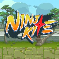 ninja kite